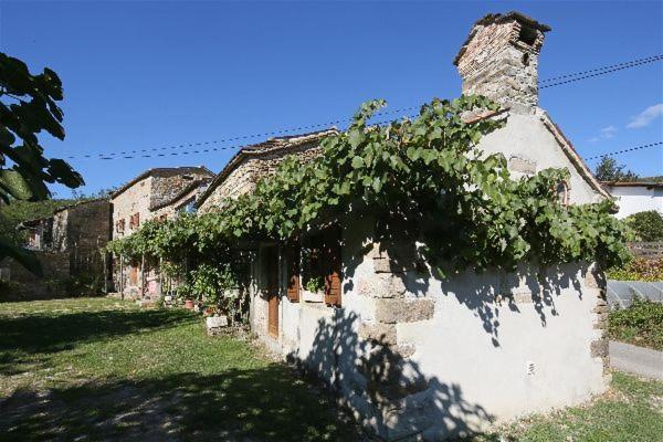 Istrian Experience Socerga Exterior foto